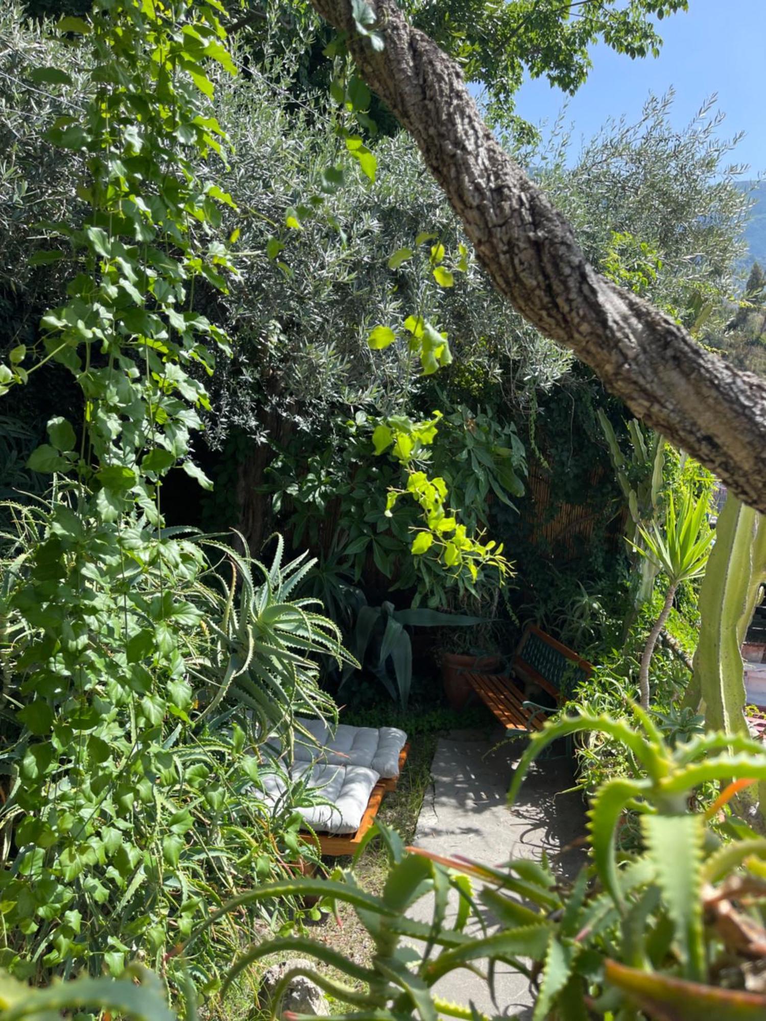 La Dolce Vita A Positano Boutique Hotel Exterior photo